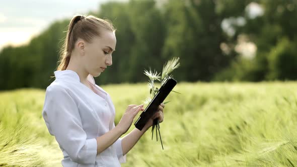 Farmer wearing white bathrobe is checking harvest progress on a tablet at the green wheat field