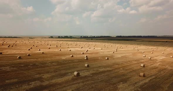 Rural Landscape with Golden Straw Bales