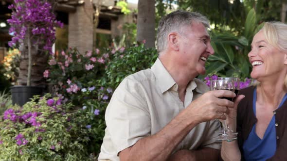 Mature couple having red wine, toasting to the camera