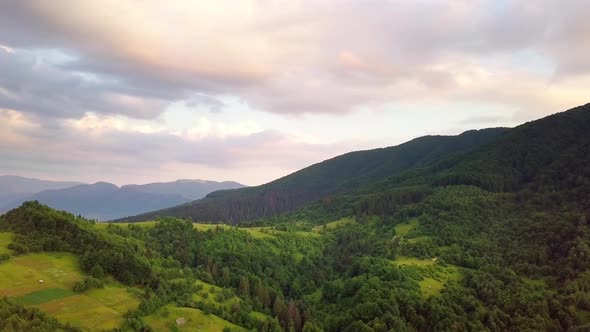 Aerial View of the Endless Lush Pastures of the Carpathian Expanses and Agricultural Land