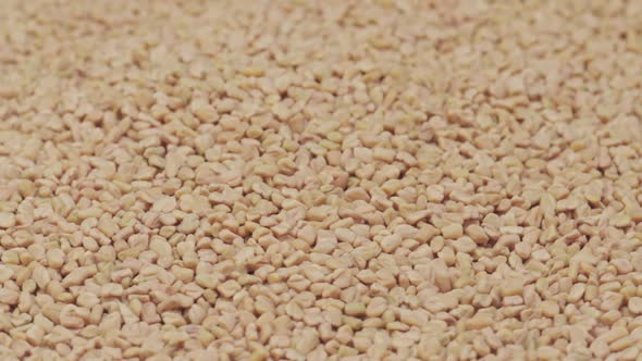 Fenugreek Seeds Background