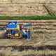 Aerial view of the Combine harvesting in rice field. - VideoHive Item for Sale