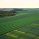 Experimental Soyfield Drone Pan - VideoHive Item for Sale