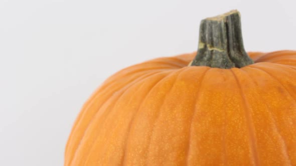 Halloween Pumpkin Rotates on a White Background