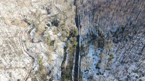 aerial view of woods with snow