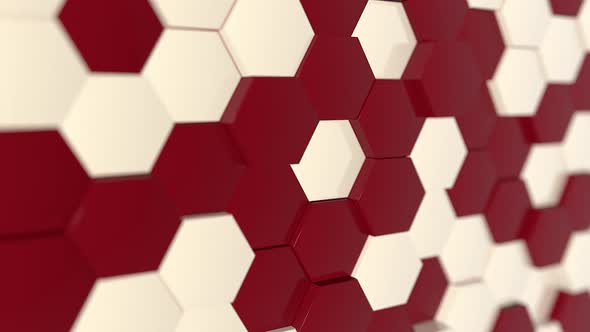 Red White Hexagon
