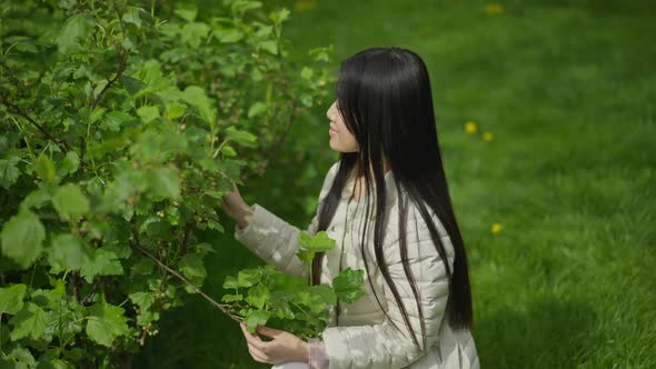 Middle Shot Side View of Smiling Young Asian Woman Touching Green Leaves on Tree Branch Sitting on