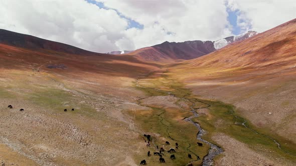 Overhead View of Arid Plains in Spectacular Tajikistan River Scenery and Landscape