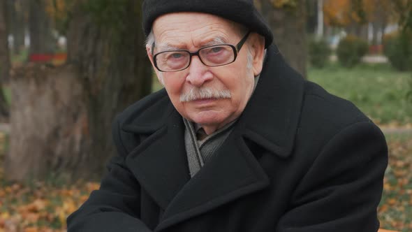 Handsome elderly senior man looking at camera in park