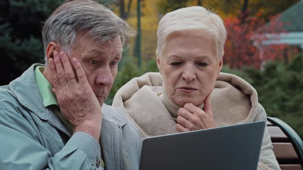 Shocked Old Married Couple Looking at Laptop Screen Sitting in Autumn Park Upset Elderly Man and