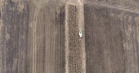 Bird's Eye View Of Combine Harvester In The Corn Field