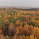 Top View of Beautiful Autumn Forest with Deciduous and Coniferous Trees - VideoHive Item for Sale
