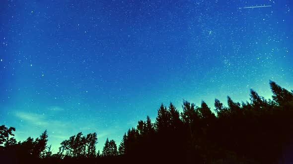 Time Lapse with Starry Sky and Moonlight Over Forest