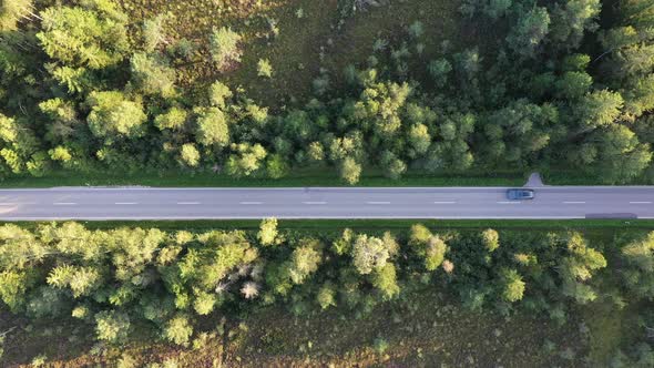 Top down of road through Konigsdorfer Moor, Upper Bavaria, Germany