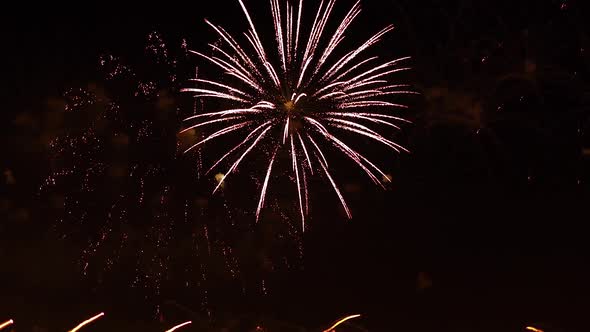 Colorful Fireworks Exploding in the Night Sky