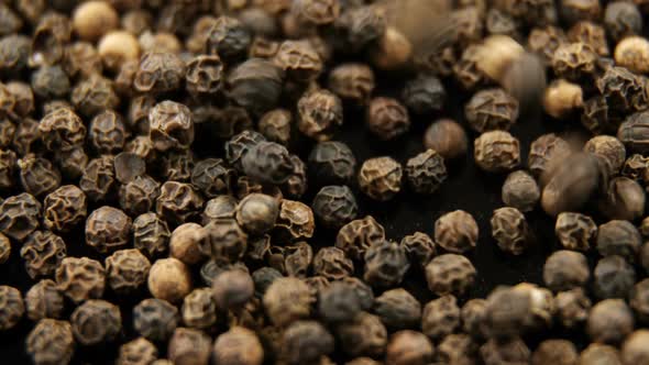 Black pepper falling on black background