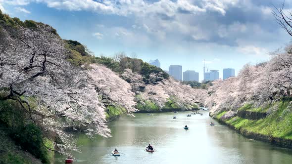 Panoramic view of Imperial Palace with cherry blossoms reflected in the moat during people navigate
