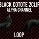 Black Coyote 2clip Loop Alpha - VideoHive Item for Sale