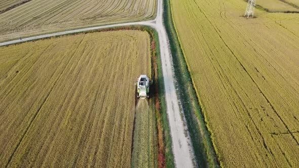 Aerial View Of A Combine In A Field Of Rice