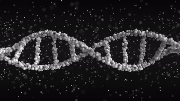 Turning DNA Molecule Model with Particles