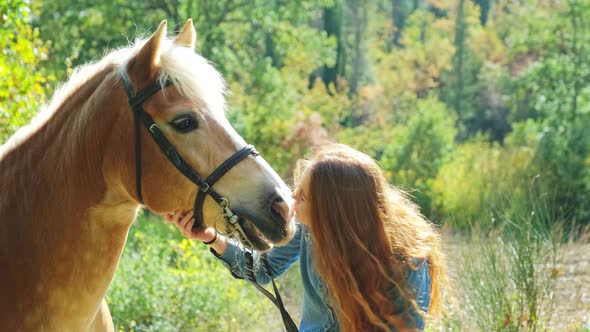 Beautiful woman kissing horse in nature