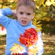 A Child in the Autumn Park Plays and Laughs Merrily He Plays with Yellow Leaves and Rowan Berries - VideoHive Item for Sale