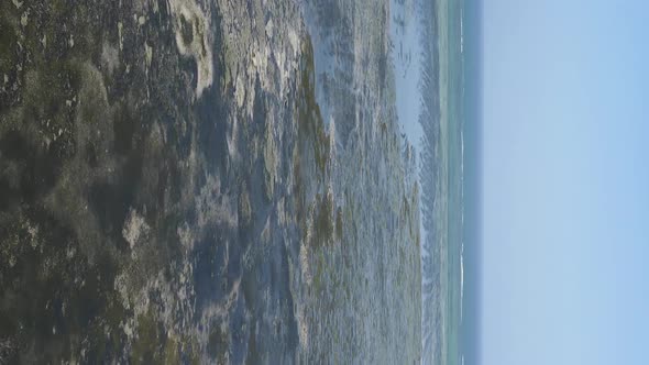 Zanzibar Tanzania  Vertical Video of Low Tide in the Ocean Near the Coast Slow Motion