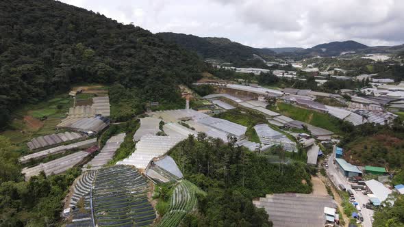 Cameron Highlands, Pahang Malaysia