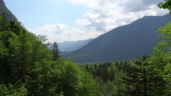 Overview of a valley trough the trees in the European Alps in Triglav National Park in Slovenia