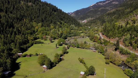 Pine Forests And Green Meadows