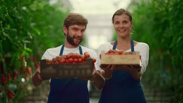 Entrepreneur Couple Farming Tomatoes Vegetable Box at Business Farmers Market