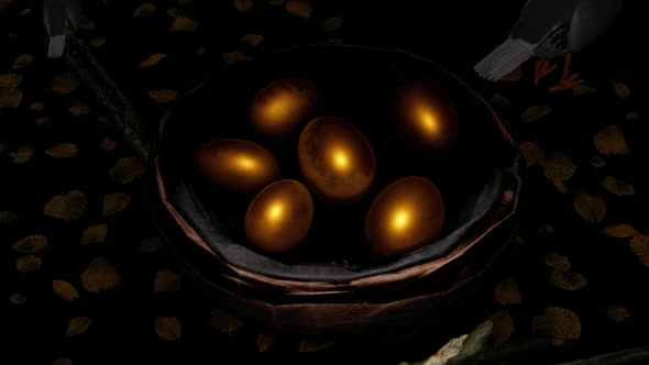 Golden Eggs in the Nest