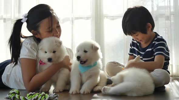 Cute Asian Children Playing With Siberian Husky Puppies Slow Motion 