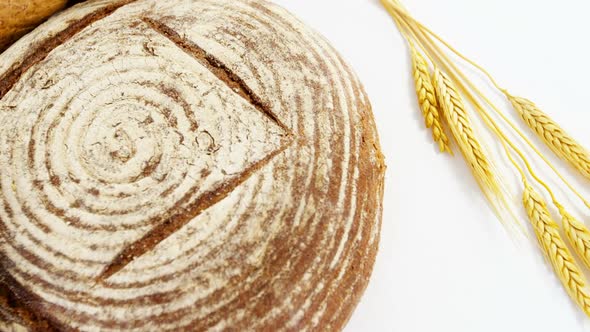 Various types of breads with wheat grains