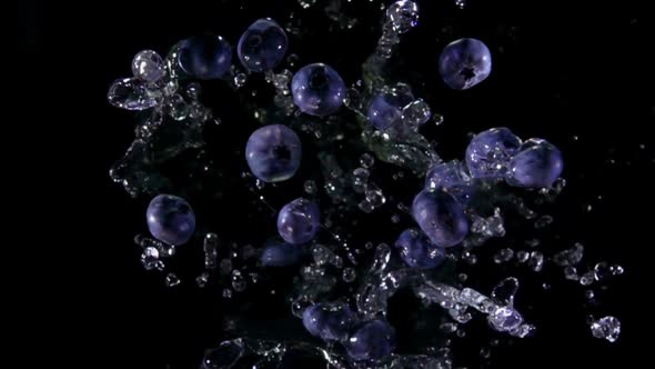 Large Delicious Blueberries are Bouncing with Drops of Water on Black Background