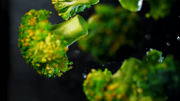 Juicy Green Broccoli Hover in The Air in Super Slow Motion