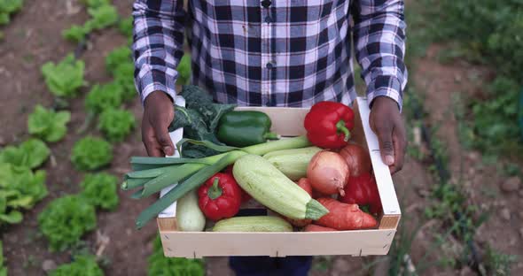 African farmer man holding wood box with fresh organic vegetables - Healthy food and harvest concept