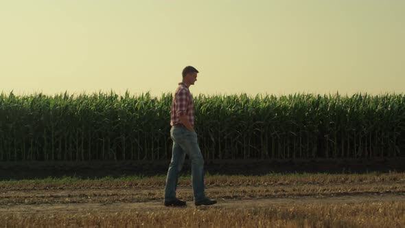 Agronomist Going Country Road Along Organic Corn Field