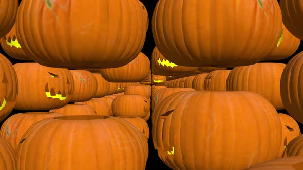 Pumpkin Tunnel