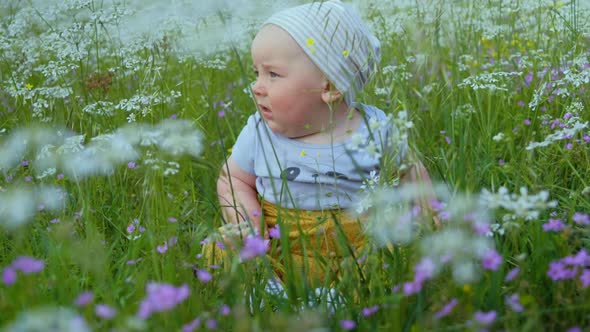 Cute baby boy sits  in the field White yellow and purple wild flowers