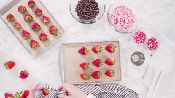 Flat lay. Step by step. Arranging organic strawberries on a baking sheet to make chocolate dipped 