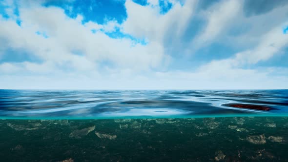 Underwater View with Horizon and Water Surface Split By Waterline