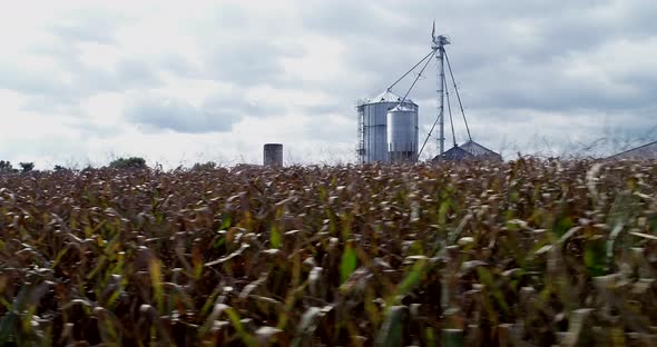 Fast dolly move to the right of tops of cornstalks with view of grain silo with American flag at top