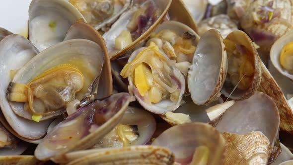 Clam Vongole Rotates on a Black Background Seafood Fresh Clam in a Shell Breathes