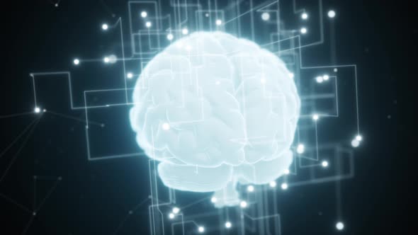 An Expanding Network Around the Digital Brain