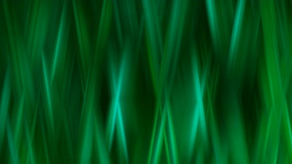 Green Color Smooth Motion Animated Background