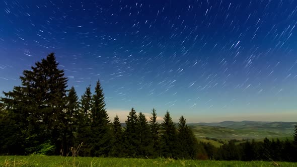 Beautiful Footage of Hillside of Mountain Range with Coniferous Forest and Meadow Path at Night in