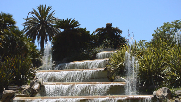Cascading Water Fountain In Palm Tree Park