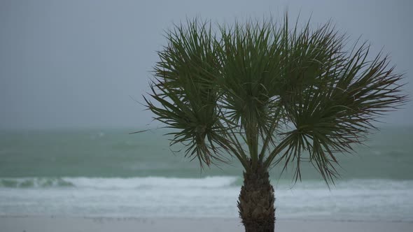 Scenes On The Beach As A Storm Approaches (1 Of 6)