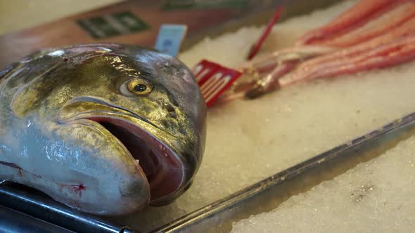 Scenes Of The Rialto Food Market In Venice (2 Of 22)
